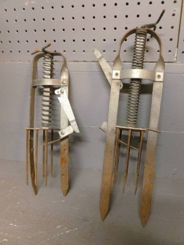 Mole Traps