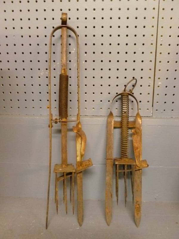 Mole Traps