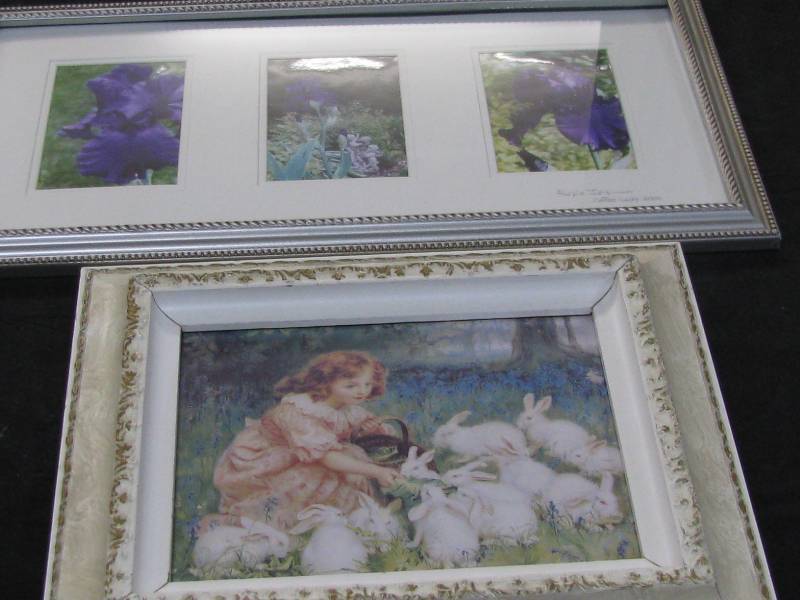 Framed Pictures
