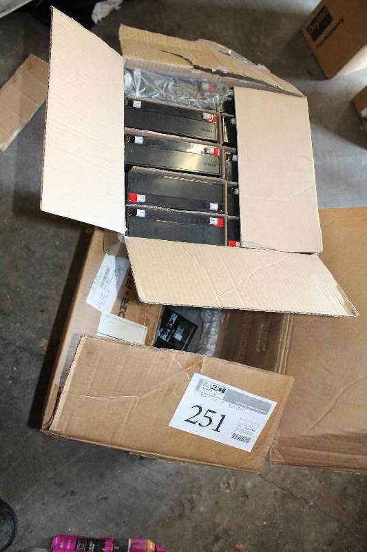lot 251 image: Lot of (2) Boxes of Batteries