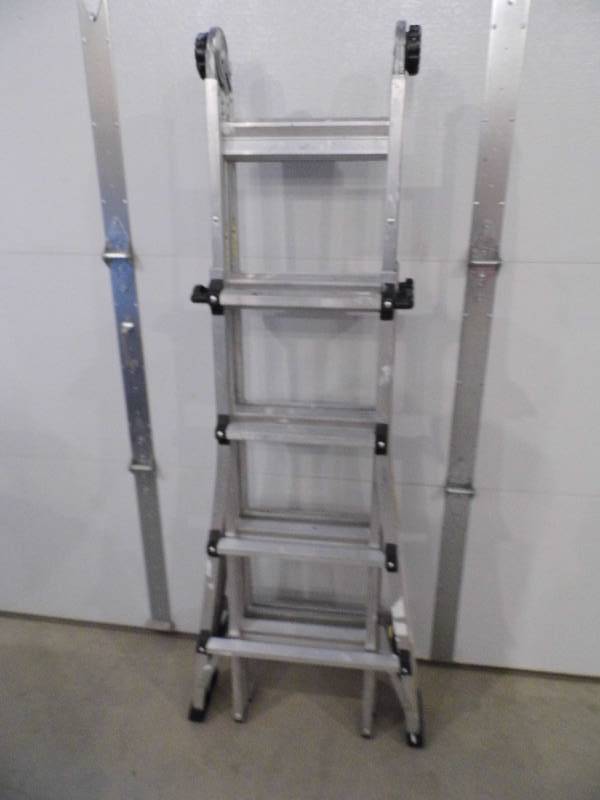 Cosco Worlds Greatest Ladder