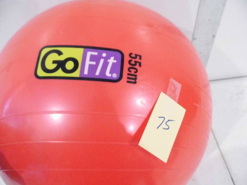 lot 75 image: GoFit 55cm Exercise Ball