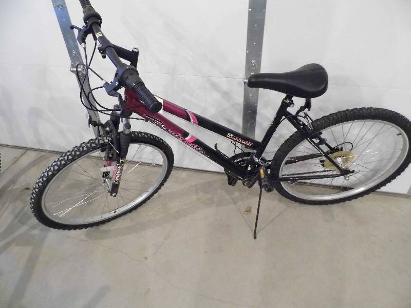 lot 128 image: Mt Sport Mountain Bike
