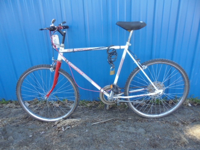 lot 7 image: Trail Bicycle
