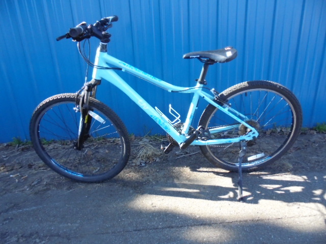 lot 10 image: Trail Bicycle