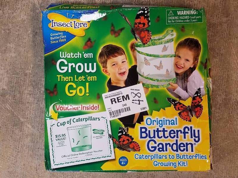lot 481 image: Insect Lore Original Butterfly Garde
