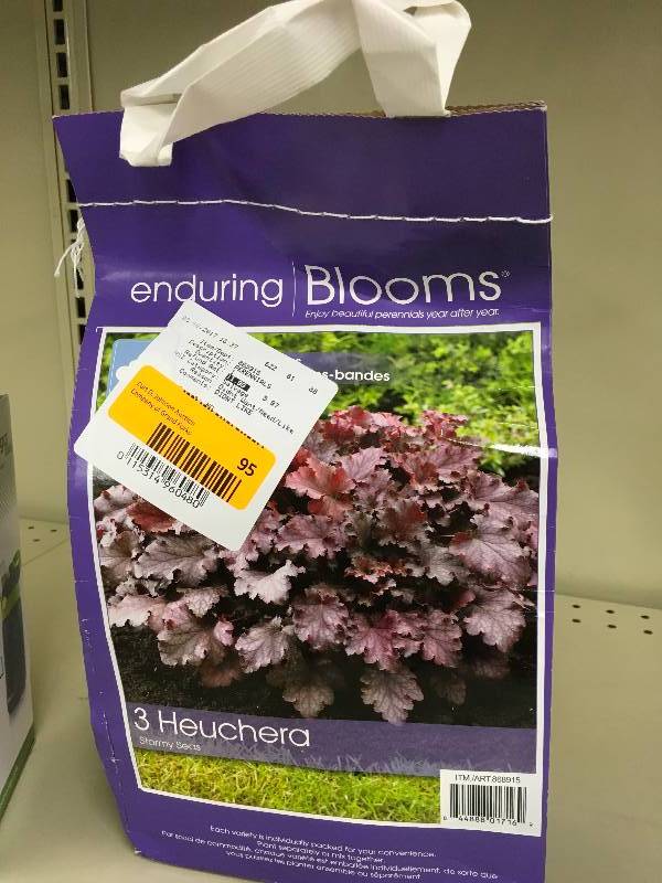 BULB SPRING PERENNIALS, RETAIL $11.99