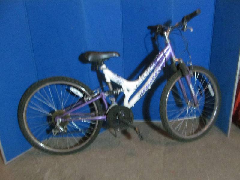 lot 169 image: bike