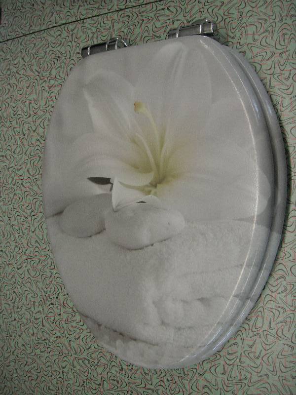 Toilet Seat