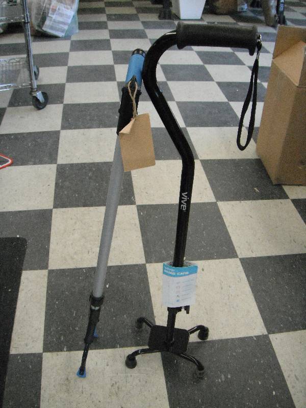 Cane