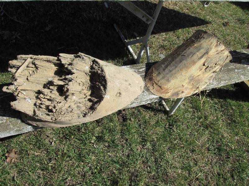 lot 21 image: 2 stump pieces...