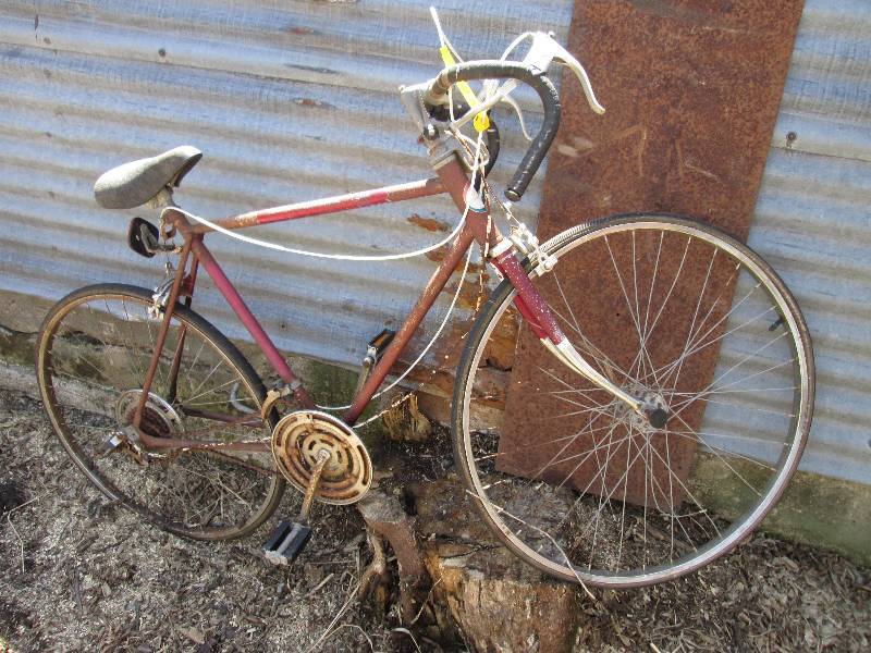 lot 81 image: free spirit  bike...