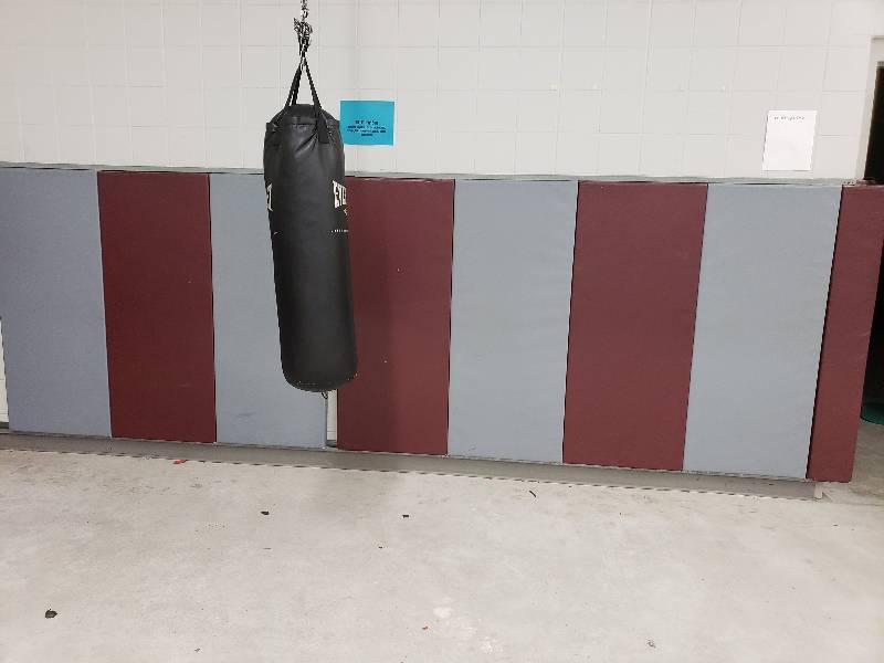 lot 45 image: AthleticGym Room Wall Pads