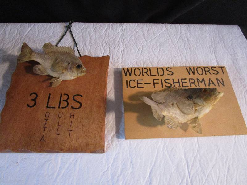 lot 76 image: Awesome Freeze-Dried Fish