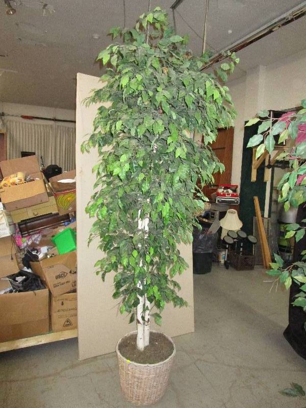 lot 179 image: Decorative Tree 104 tall