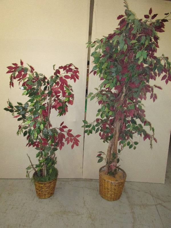 lot 180 image: 2-Decorative Tree 5 12 and 7