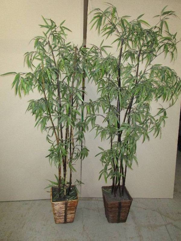 lot 182 image: 2-Decorative Bamboo Trees