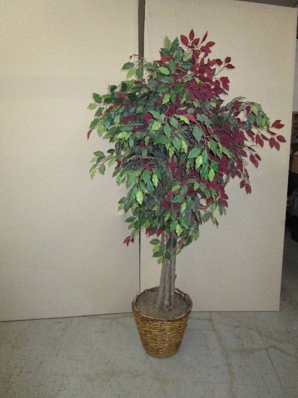 lot 183 image: Decorative Tree 7 ft