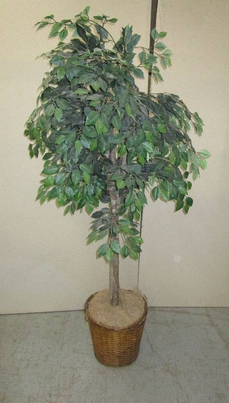 lot 186 image: Decorative Tree 6 12