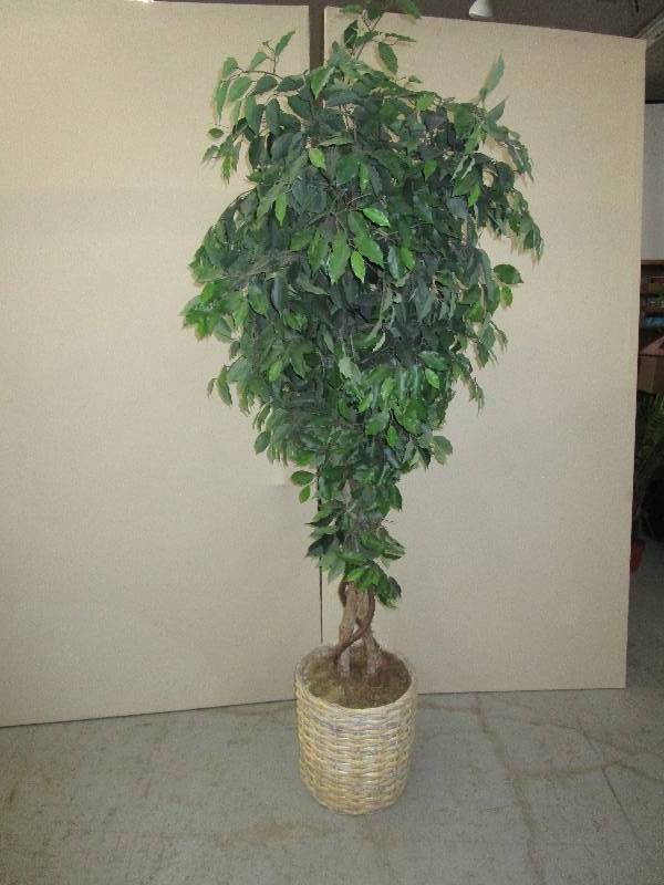 lot 187 image: 1-Decorative Tree 7