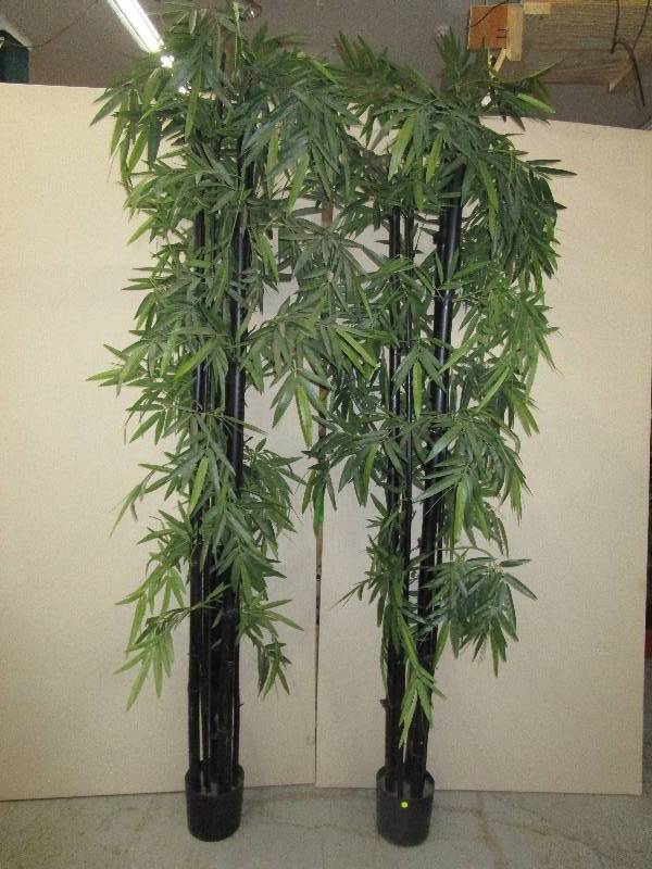 lot 188 image: 2-Decorative Trees 8