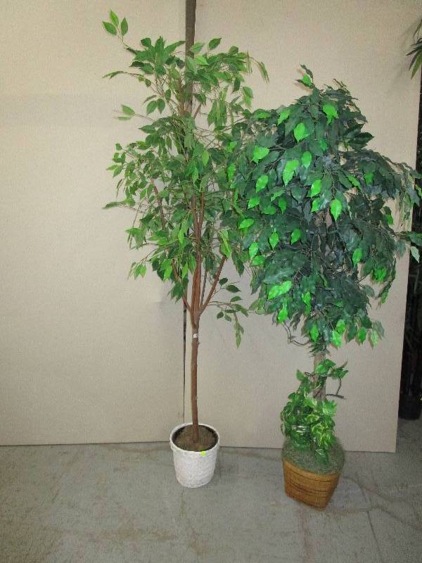 lot 191 image: 2 Decorative trees