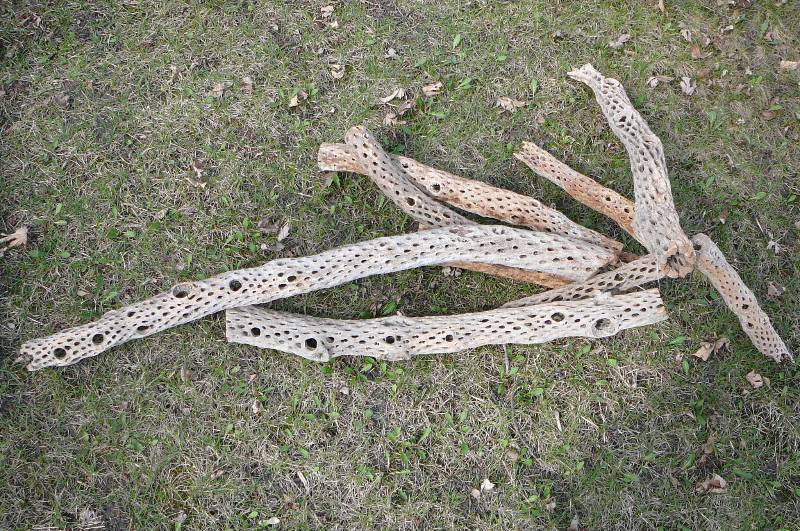 lot 705 image: Drift wood