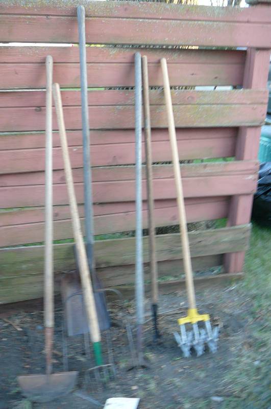 lot 791 image: Lawn Tool, Fork, Edger, Hole, yard weisl see pics