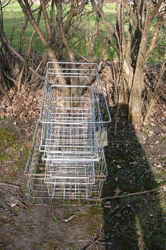 lot 694 image: Wire freezer Baskets