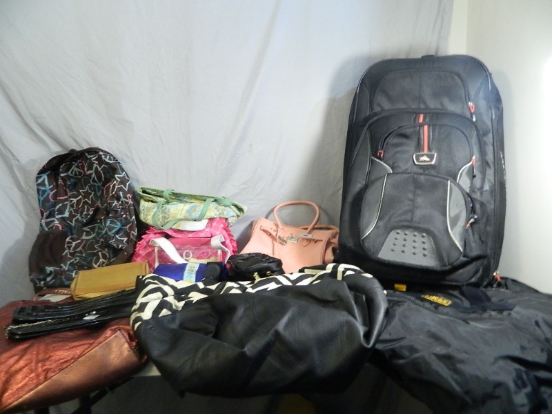 lot 210 image: Purses, Luggage, More