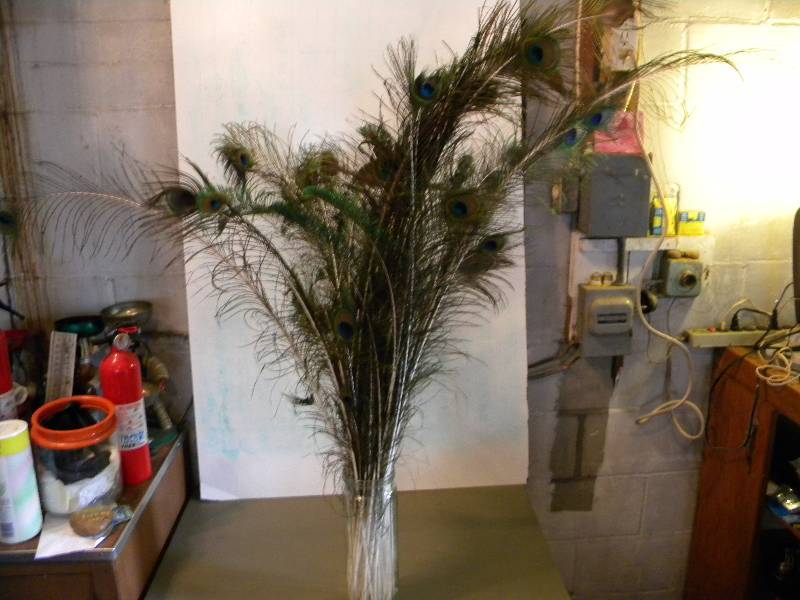 lot 52 image: Vase of Peacock Feathers