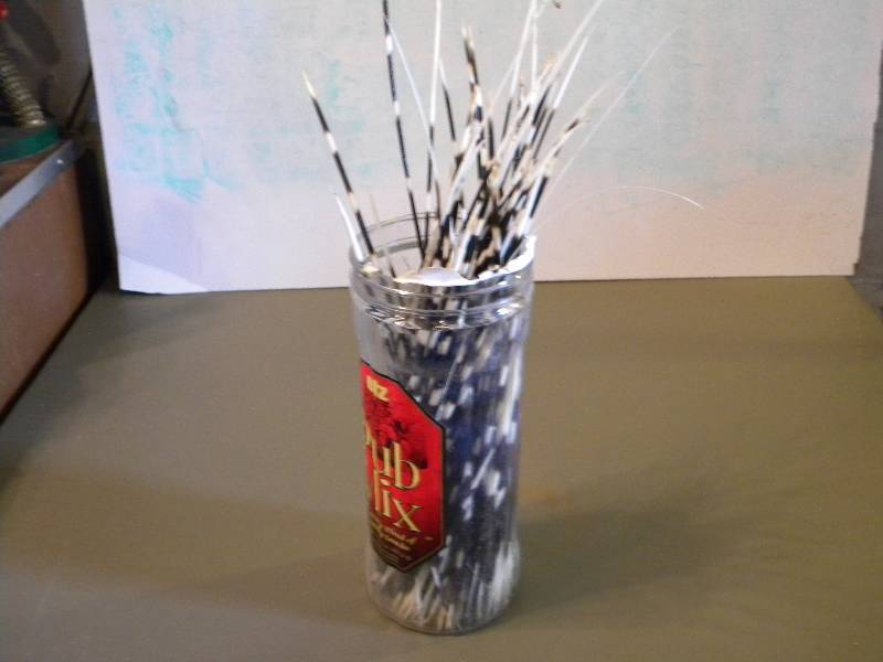 lot 53 image: Porcupine Quills