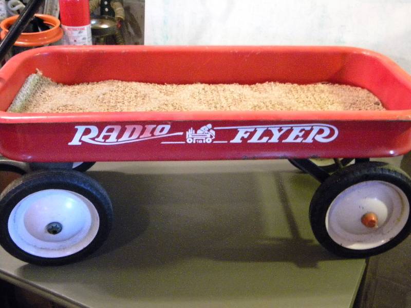 lot 82 image: Radio Flyer Wagon