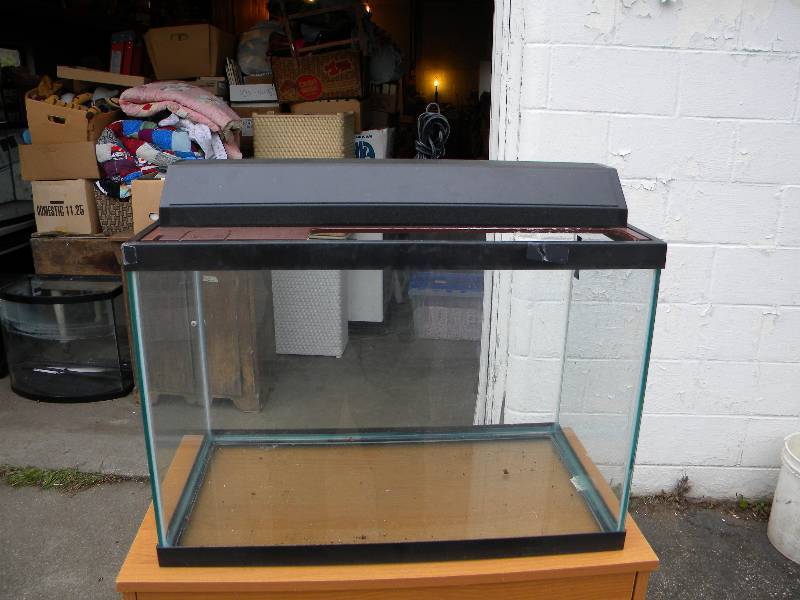 lot 141 image: Aquarium