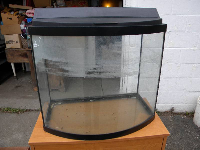 lot 142 image: Aquarium