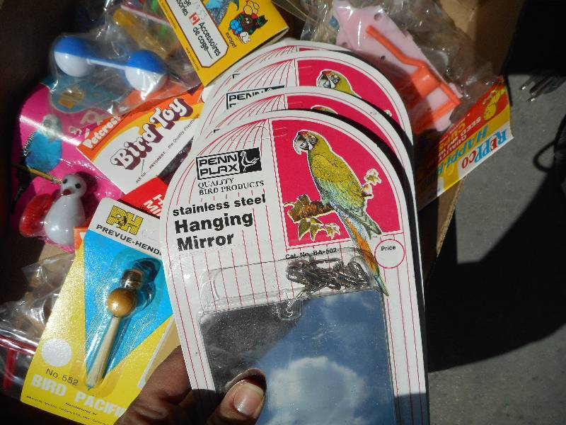 Bird Supplies