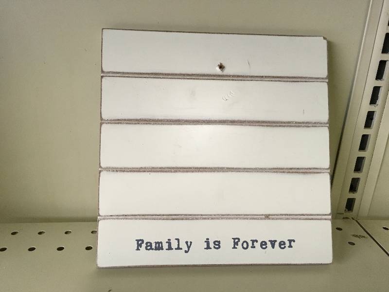 FAMILY IS FOREVER SINGLE IMAGE FRAME, MISSING CLIP