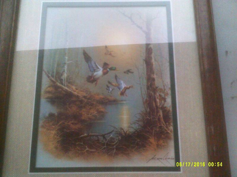 lot 51 image: 3 VINTAGE DUCK PICTURES