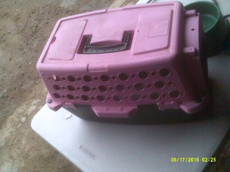 lot 75 image: SMALL PET TOTE AND ELECTRIC WATERER