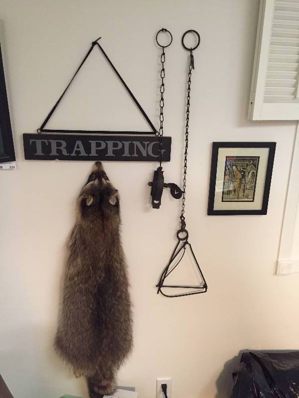 lot 252 image: Trapping Grouping