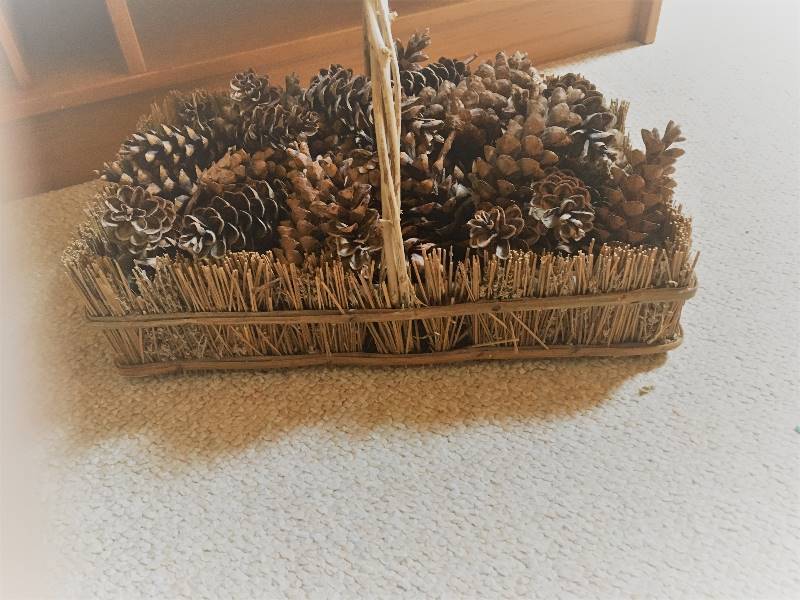 lot 206 image: Twig Basket with Pine Cones