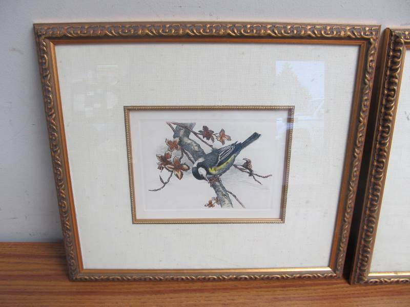 lot 114 image: Pair of Vintage Framed Colored Songbird Etchings