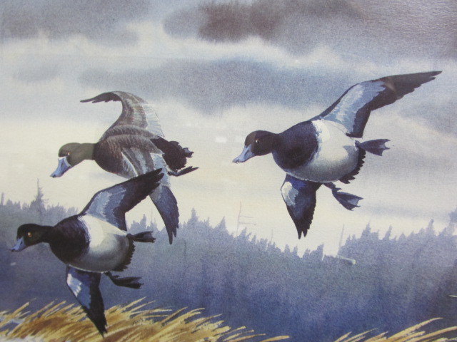 lot 163 image: Framed LES KOUBA Wildlife Print
