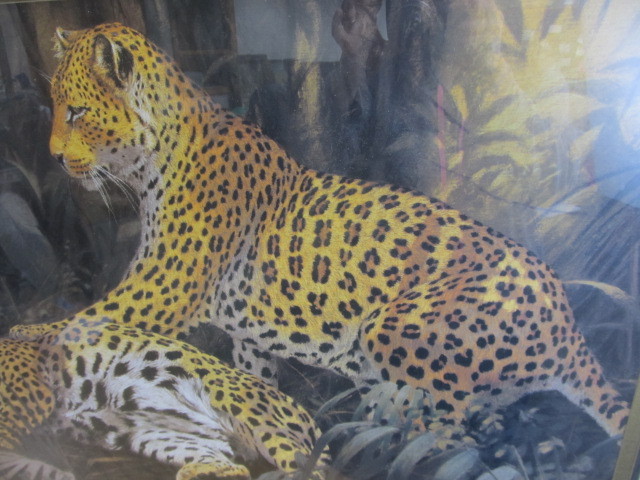 lot 166 image: LARGE Framed Leopard Print