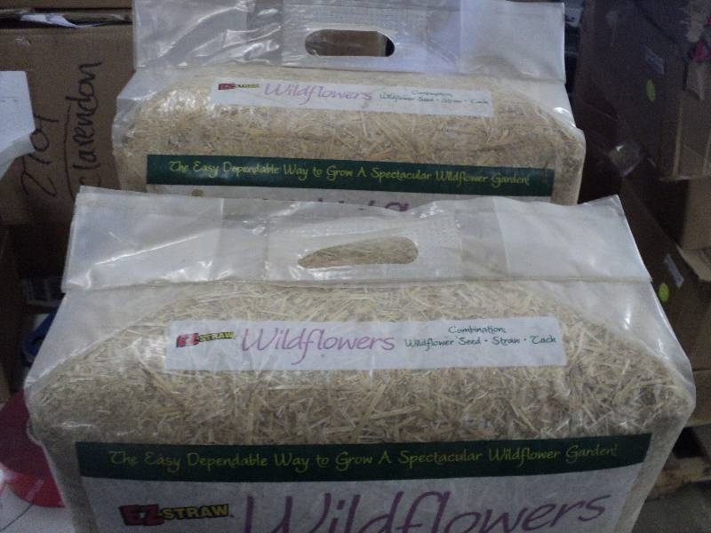 2 EZ straw wildflowers...