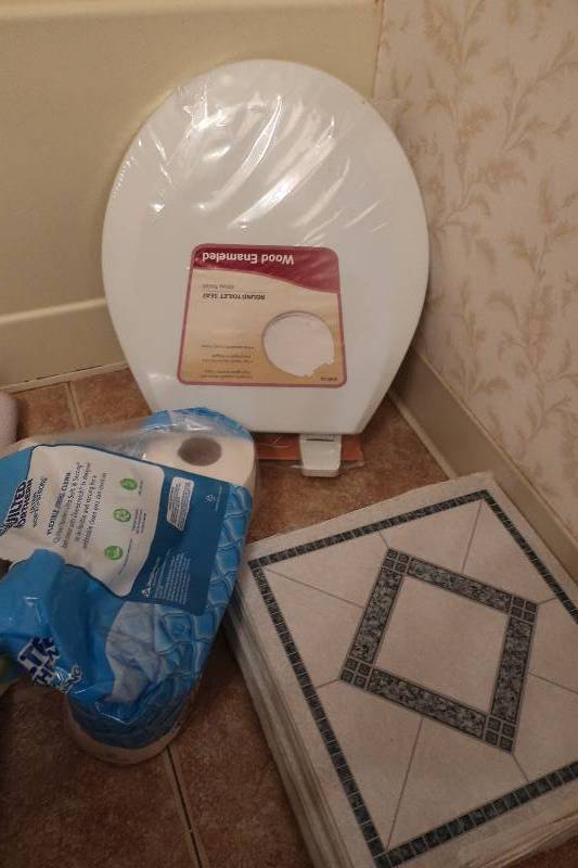 lot 221 image: Toilet seat and tiles