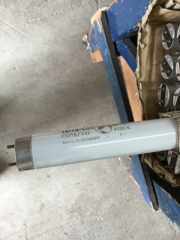 12 4 Feet long, Light Bulbs - SLI Lighting - Lux Line F32T8 - 4100K