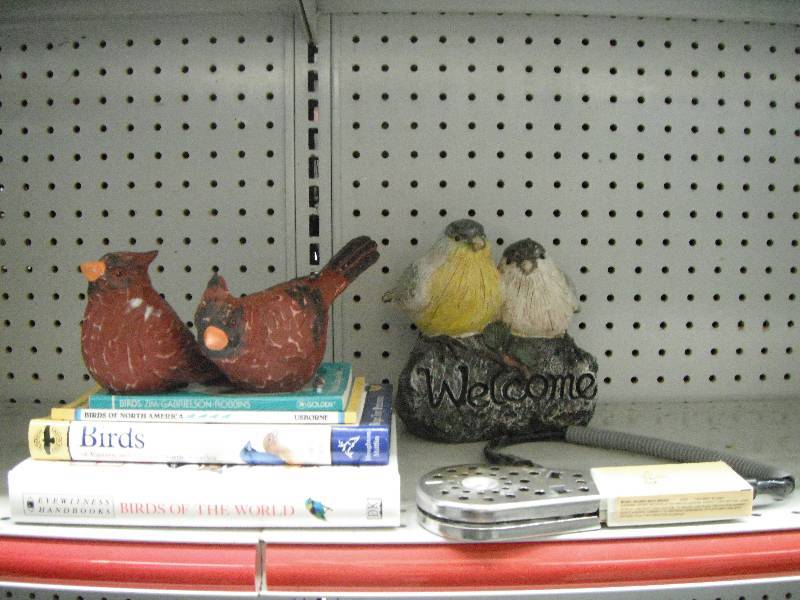 Bird Books & Statues