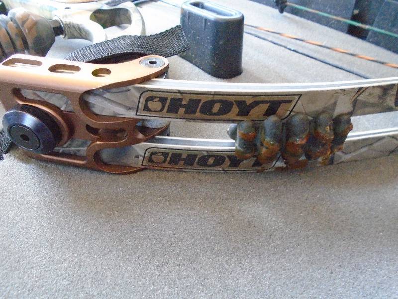 Compound Bow