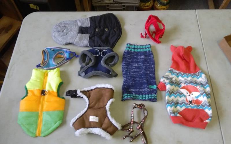 lot 18 image: Lot Of Small Dog Items